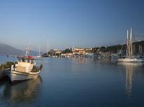 Evening Light Shining Through Olive Trees, Paxos, Ionian Islands, Greek Islands, Greece, Europe-Mark Banks-Photographic Print