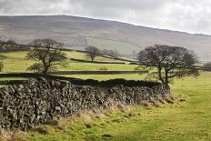 Field Barn and Dry Stone Walls in Garsdale-Mark-Photographic Print