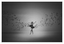 Ballerina Flight Of Birds-Mark Biwit-Laminated Giclee Print