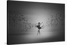 Ballerina Flight Of Birds-Mark Biwit-Stretched Canvas
