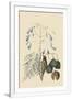 Gramercy White
