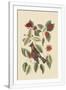 Gramercy White
