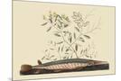 Wood Mount