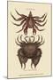 Wood Mount