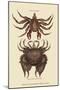 Wood Mount