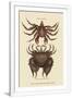 Gramercy White