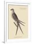 Gramercy White