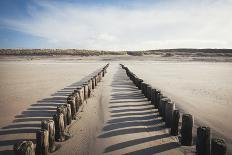Wooden Groynes on a Sandy Beach, Leading to Sand Dunes, Domburg, Zeeland, the Netherlands, Europe-Mark Doherty-Photographic Print