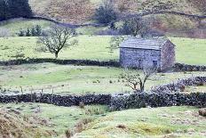 Field Barn and Dry Stone Walls in Garsdale-Mark-Photographic Print