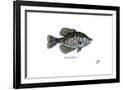 Gramercy Black