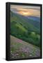 Essential Black