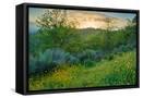 Canvas Black