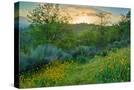 Stretched Canvas