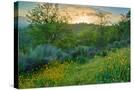 Stretched Canvas