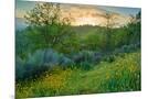 Wood Mount