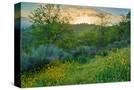 Stretched Canvas