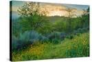 Stretched Canvas