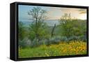 Canvas Black