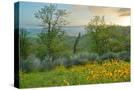Stretched Canvas
