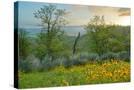 Stretched Canvas