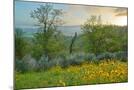 Wood Mount