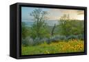 Canvas Black