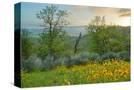 Stretched Canvas