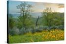 Stretched Canvas