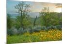 Wood Mount