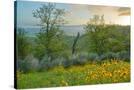 Stretched Canvas