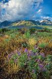 Eastern Sierra III-Mark Geistweite-Photographic Print