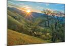 Wood Mount