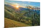 Wood Mount