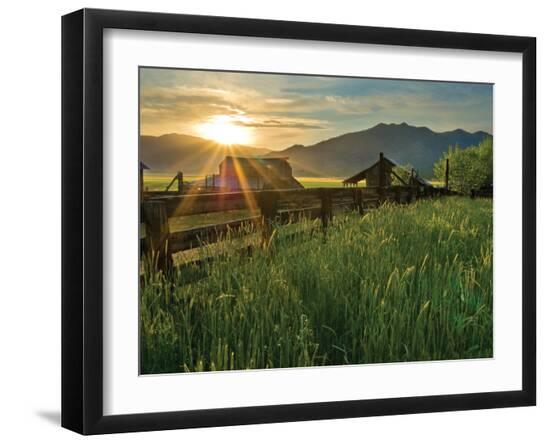 Premium Photographic Print, , large