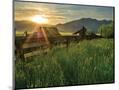 Wood Mount