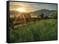 Canvas Black