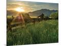 Wood Mount