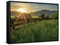 Canvas Black
