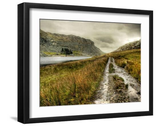 Photographic Print, , large