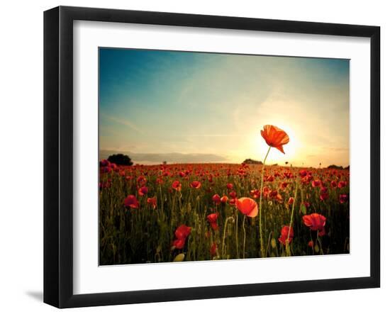 Premium Photographic Print, , large