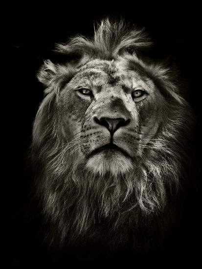 Premium Photographic Print, , large