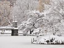 Snow covered trees with a footbridge in a public park, Boston Public Garden, Boston, Massachusetts,-Mark Hunt-Framed Stretched Canvas