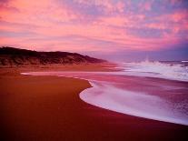 A Golden Beach in Australia-Mark James Gaylard-Photographic Print