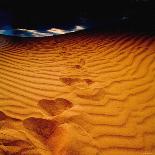 Lost in the Golden Sand-Mark James Gaylard-Laminated Photographic Print