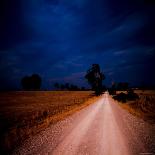 Road to Lake-Mark James Gaylard-Photographic Print