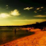 A Golden Beach in Australia-Mark James Gaylard-Photographic Print