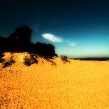 A Golden Beach in Australia-Mark James Gaylard-Photographic Print