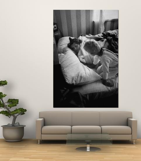 Giant Art Print, , large