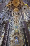 Sagrada Familia, Barcelona, Catalonia, Spain-Mark Mawson-Photographic Print