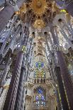 Sagrada Familia, Barcelona, Catalonia, Spain-Mark Mawson-Framed Photographic Print